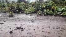 शाजापुर में जोरदार बारिश