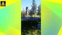 funny falling people - funny people falling - people doing stupid things and get hurt