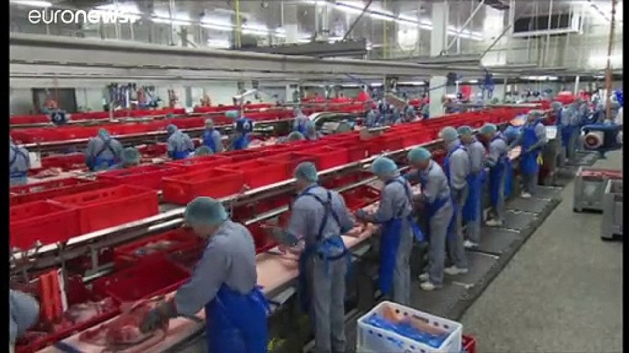 Nun auch Österreich: 12 Schlachthof-Mitarbeiter positiv getestet