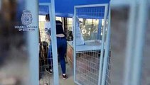 La policía desmantela un criadero ilegal de perros y rescata 17 cachorros