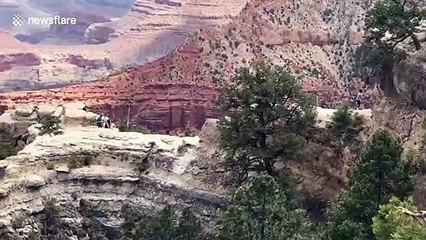 Harrowing footage shows moments after a hiker fell to her death in Grand Canyon