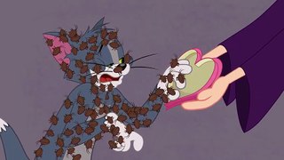The Tom and Jerry Show - Bloom And Gloom Flowers and Gifts