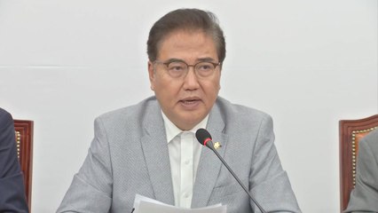 박진 "미 대선 앞두고 북미정상회담은 보여주기식 쇼" / YTN