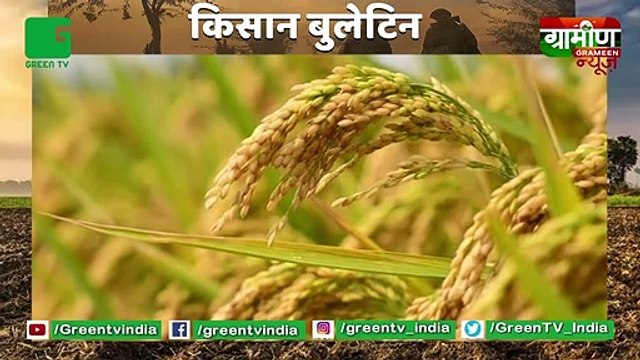 Kisan Bulletin : Solar Water Pump पर किसानों को मिलेगी 75% सब्सिडी | Kusum Yojana : Haryana Government | Grameen News