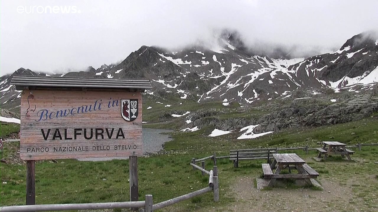 Werden Gletscher zu rosa Riesen? Italien staunt über Algenart