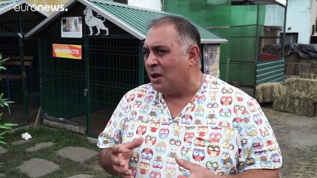 Львёнок Симба из Челябинска