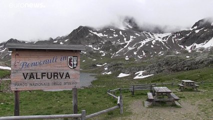 Розовый снег в итальянских Альпах