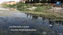 Fırat Nehri’ndeki Su Seviyesi Suriye’deki Çiftçileri Endişelendiriyor