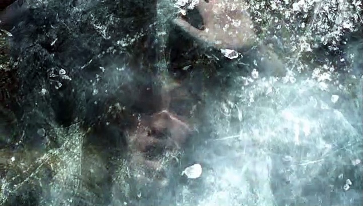 The village dispute
