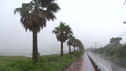 [날씨] 오늘 30℃ 더위...제주 장맛비·내륙 소나기 / YTN
