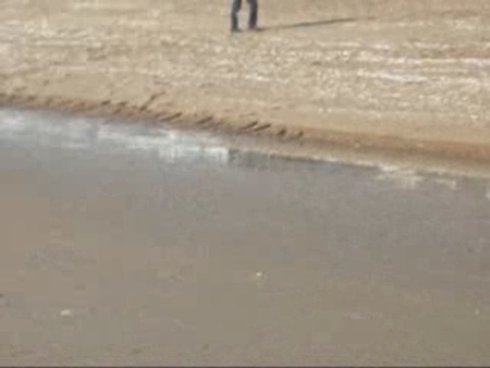 BALADE SUR LA PLGE_0001