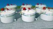 BLANKET GAS REGULATOR(Finekay® LOW PRESSURE TANK SAFETY DEVICE)