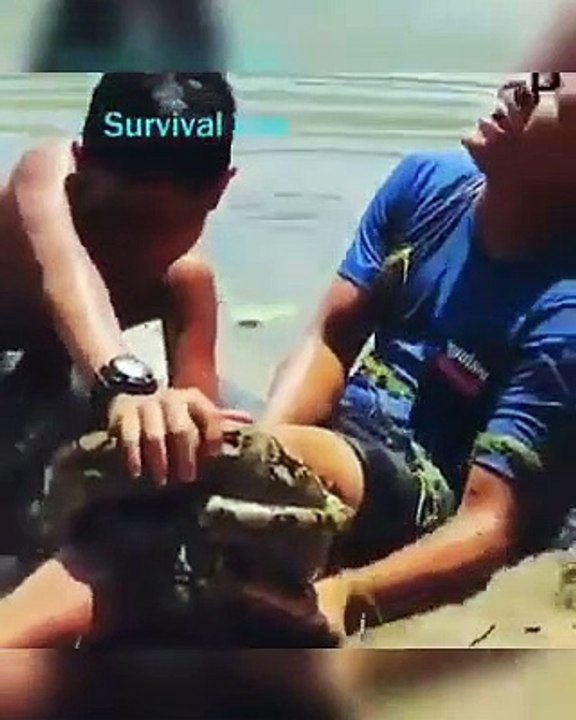 Joven es salvado de Boa que lo había atrapado en un rió