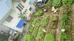 How This Community in Quezon City Transformed an Idle Lot Into an Urban Garden
