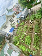 How This Community in Quezon City Transformed an Idle Lot Into an Urban Garden
