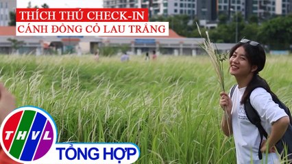 Nhiều người thích thú check-in với cách đồng cỏ lau trắng tại TP.HCM
