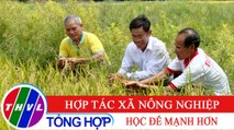 Nông nghiệp bền vững: Hợp tác xã nông nghiệp - Học để mạnh hơn