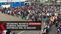 Serobot Antrean KRL di Bogor, Wanita Ini Disoraki Calon Penumpang