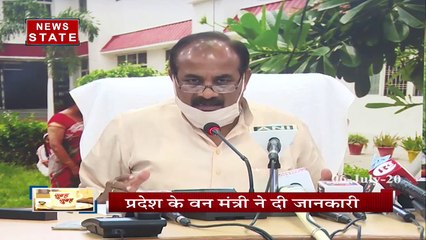 यूपी: राज्य में लगाए गए 25 करोड़ पेड़, टूटा पिछले साल का रिकॉर्ड