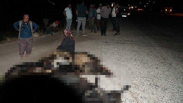 Otomobille sürüye daldı: 22 keçi öldü