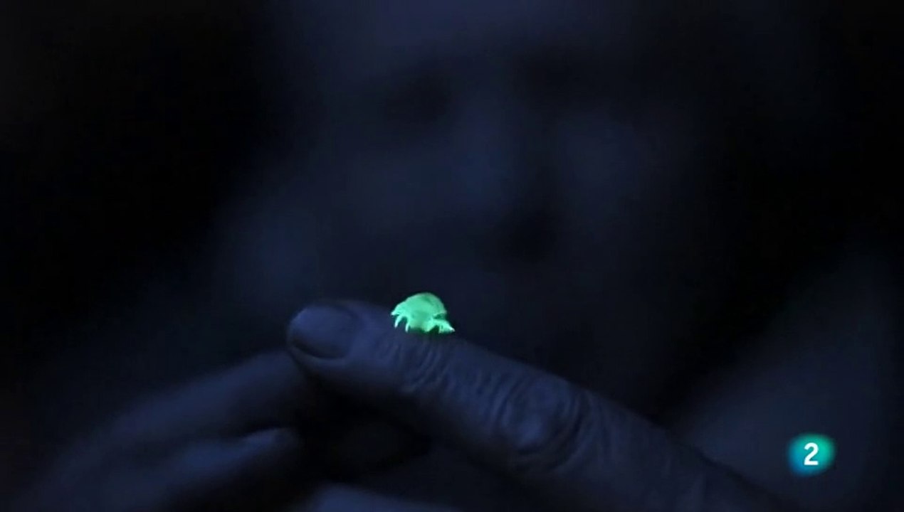 Luz en la tierra - Documental