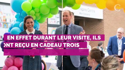 Kate Middleton : ce cadeau trop mignon reçu lors d'une visite à l'hôpital avec le prince William