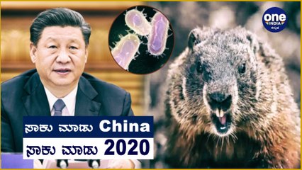 Bubonic Plague Says Hello China:ಚೀನಾದಲ್ಲಿ 'ಬುಬೊನಿಕ್ ಪ್ಲೇಗ್' ಮಾರಣಾಂತಿಕ ರೋಗ ಪತ್ತೆ| Oneindia Kannada