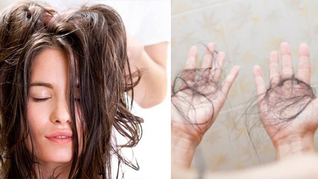Hair Fall after oiling: तेल लगाने के बाद क्या टूटते है आपके बाल | Hair fall while oil massage