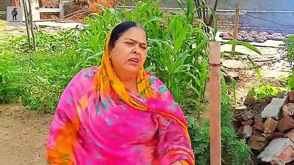Tattian vs Toilet  Rana Rangi  Tayi Surinder Kaur  Ravi  Best Punjabi Funny Movie