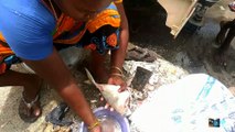 Amazing fish cutting skills by women/fish cutting style/Indian N4 Beach