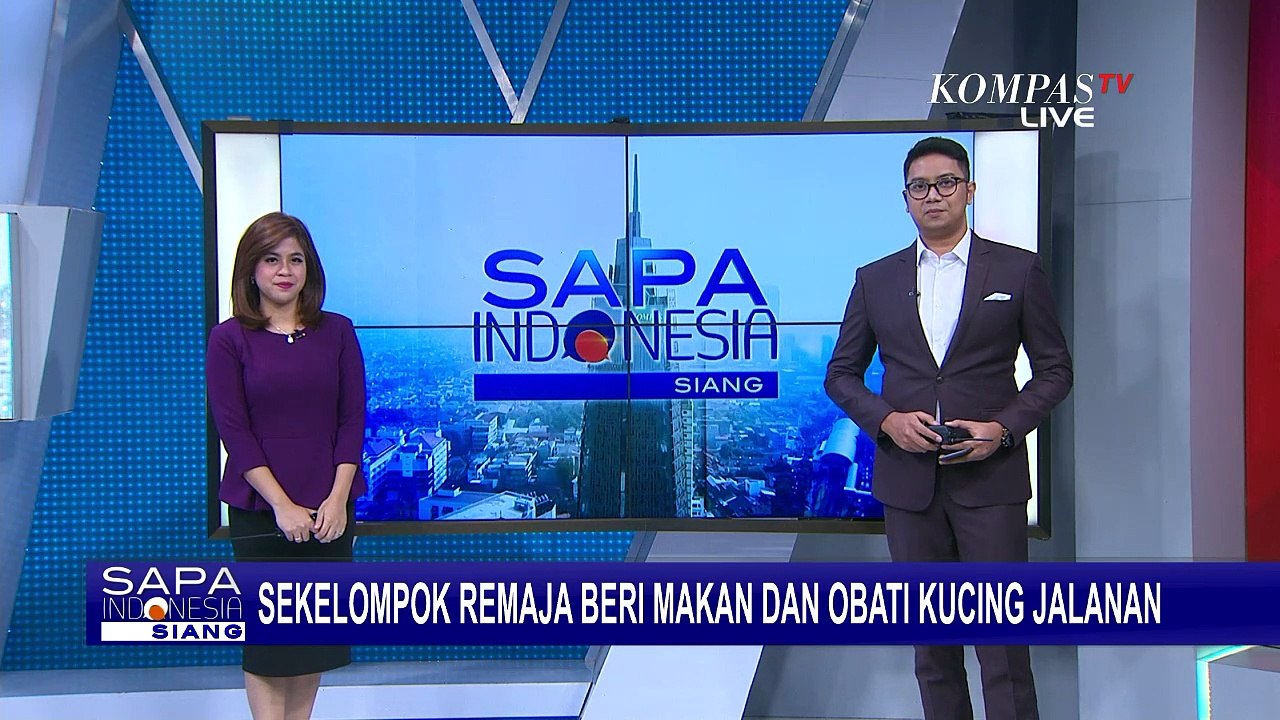 Beri Makan Kucing Terlantar, Ini Dia Potret Kegiatan Kelompok Peduli Kucing Jalanan