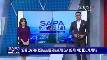 Beri Makan Kucing Terlantar, Ini Dia Potret Kegiatan Kelompok Peduli Kucing Jalanan