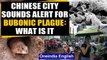 Bubonic plague: China reports suspected case of 'black death' plague, sounds alert | Oneindia News