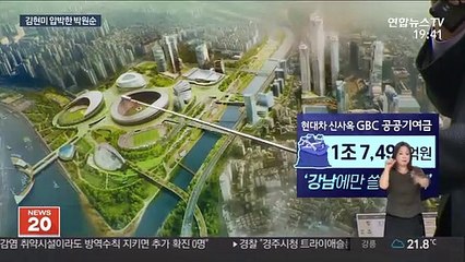 박원순 "김현미, 강남 개발 이익 문제 잘 모를 것"