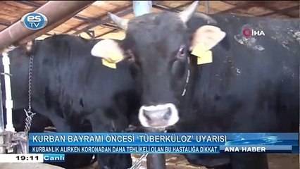 Kurbanlık alırken koronadan daha tehlikeli olan bu hastalığa dikkat