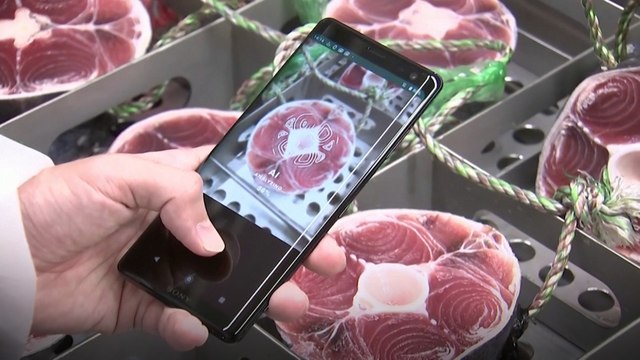 Japanese app uses AI to scan for the highest-grade tuna for sushi and sashimi