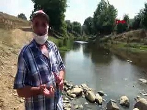 Tekirdağ’da Çınarlıdere Deresi’nde balık ölümleri