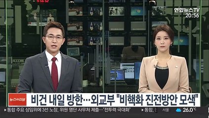 비건 내일 방한…외교부 "비핵화 진전방안 모색"