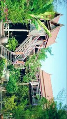 ดูหนัง Boxing Sangkran (2019) สงกรานต์ แสบสะท้านโลกันต์ Ep2/2