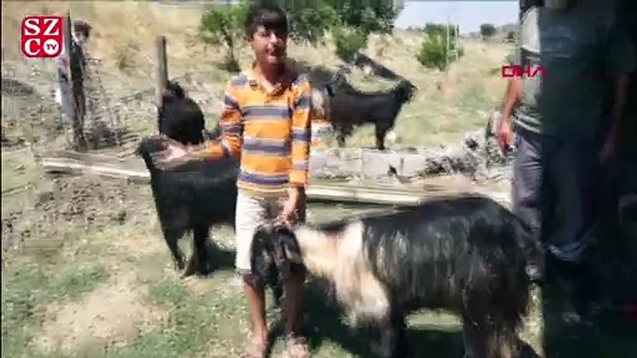 Kuzusu öldüğü için gözyaşlarına boğulan Barış, olayı anlattı