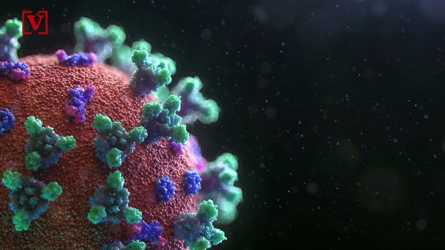 WHO Urged by Hundreds of Scientists to Rethink Risks of Airborne Transmission of COVID-19