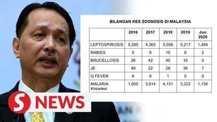 Malaysia records 2,649 cases related to zoonosis as of June
