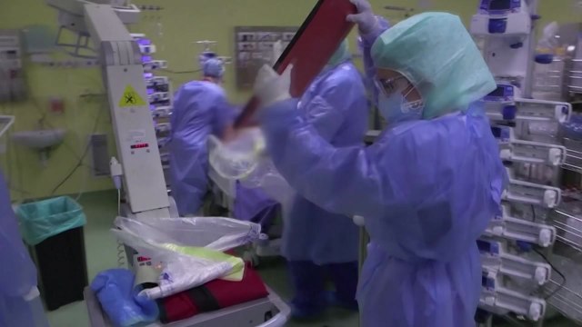 중국 또 고위험 전염병 발생...이번엔 '흑사병' / YTN