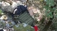 Calabria - Sequestro di fucili e munizioni nella Locride (06.07.20)