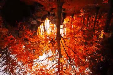 MVGEN: Mick Bolwell : Breathe