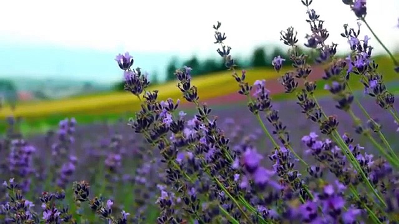 Romantic Instrumental Music Love Songs – Best Instrumental Music 2017