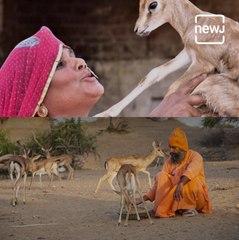 Bishnoi Tribe - The Environment Conversation Tribe Of Rajasthan