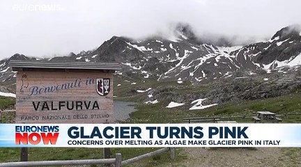 下载视频: Pink ice spotted in Alpine glacier fuels concerns over accelerated melting