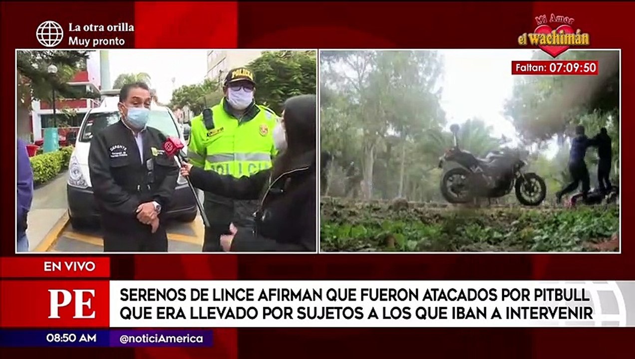 Primera Edición: Serenos de Lince afirman que fueron atacados por pitbull