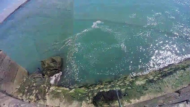 PÊCHE DES MAQUEREAUX à Boulogne sur mer 11 AOÛT 2017